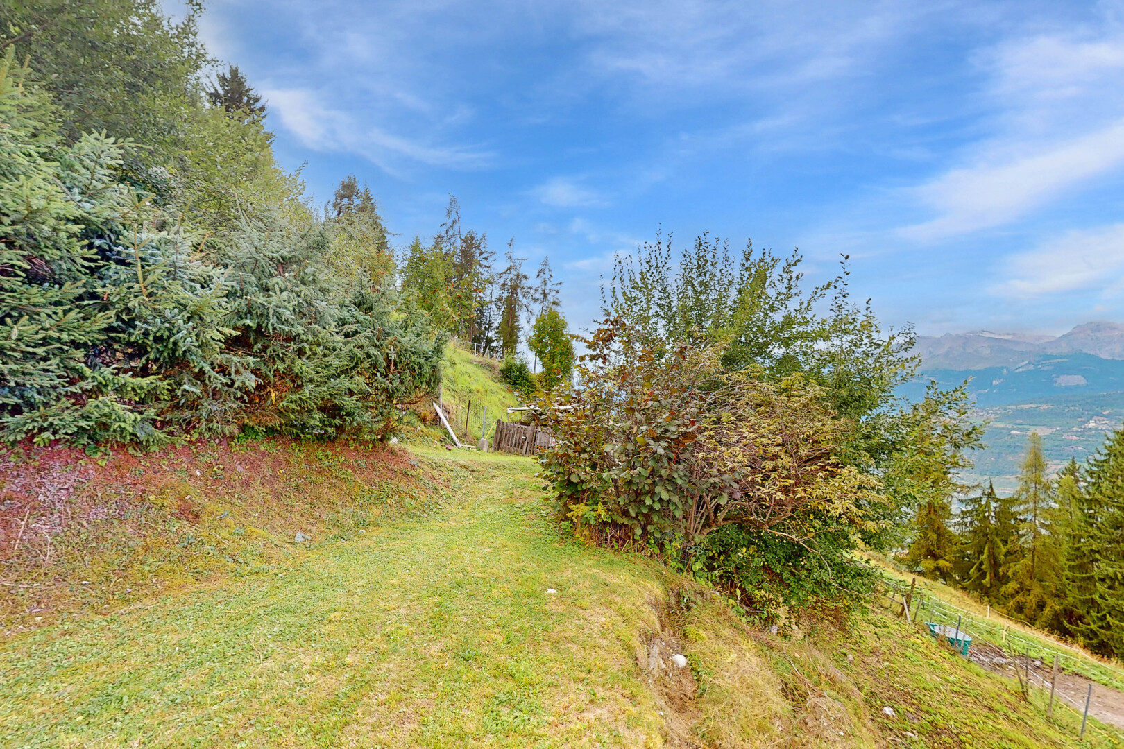 jardin avec day time et pelouse