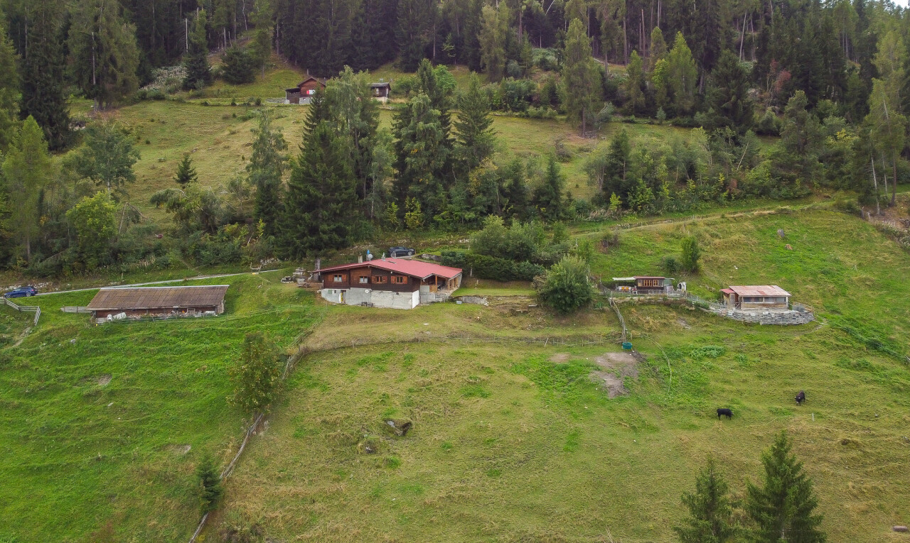 jardin avec property visible, animal, animal farm, vue rurale, et rural view