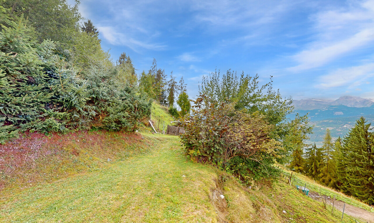 jardin avec day time et pelouse