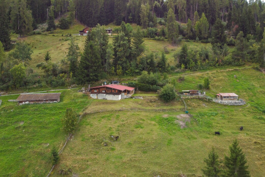 jardin avec property visible, animal, animal farm, vue rurale, et rural view