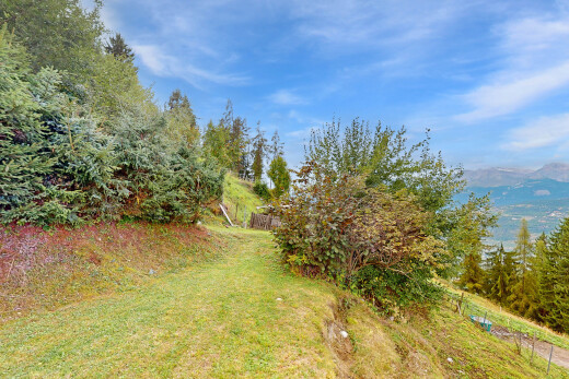 jardin avec day time et pelouse