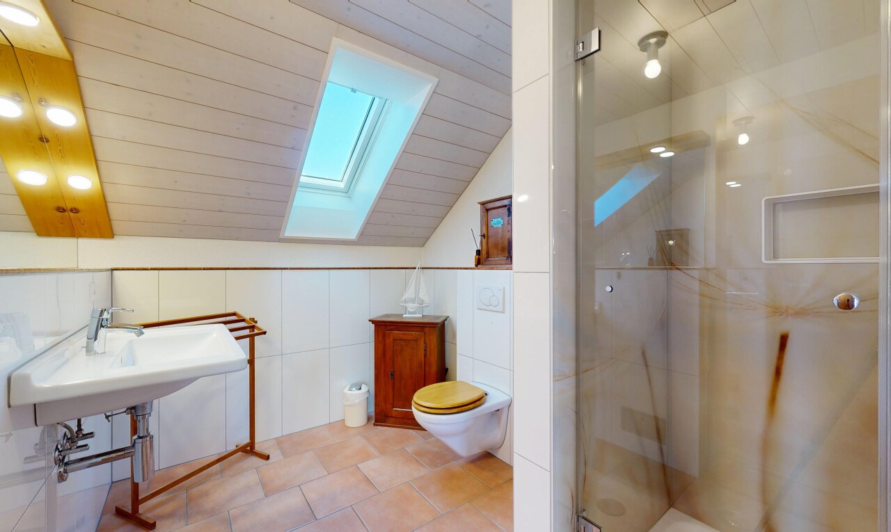 salle de bains avec puits de lumière, douche, salle de bain complète, vaulted ceiling, et plafond voûté