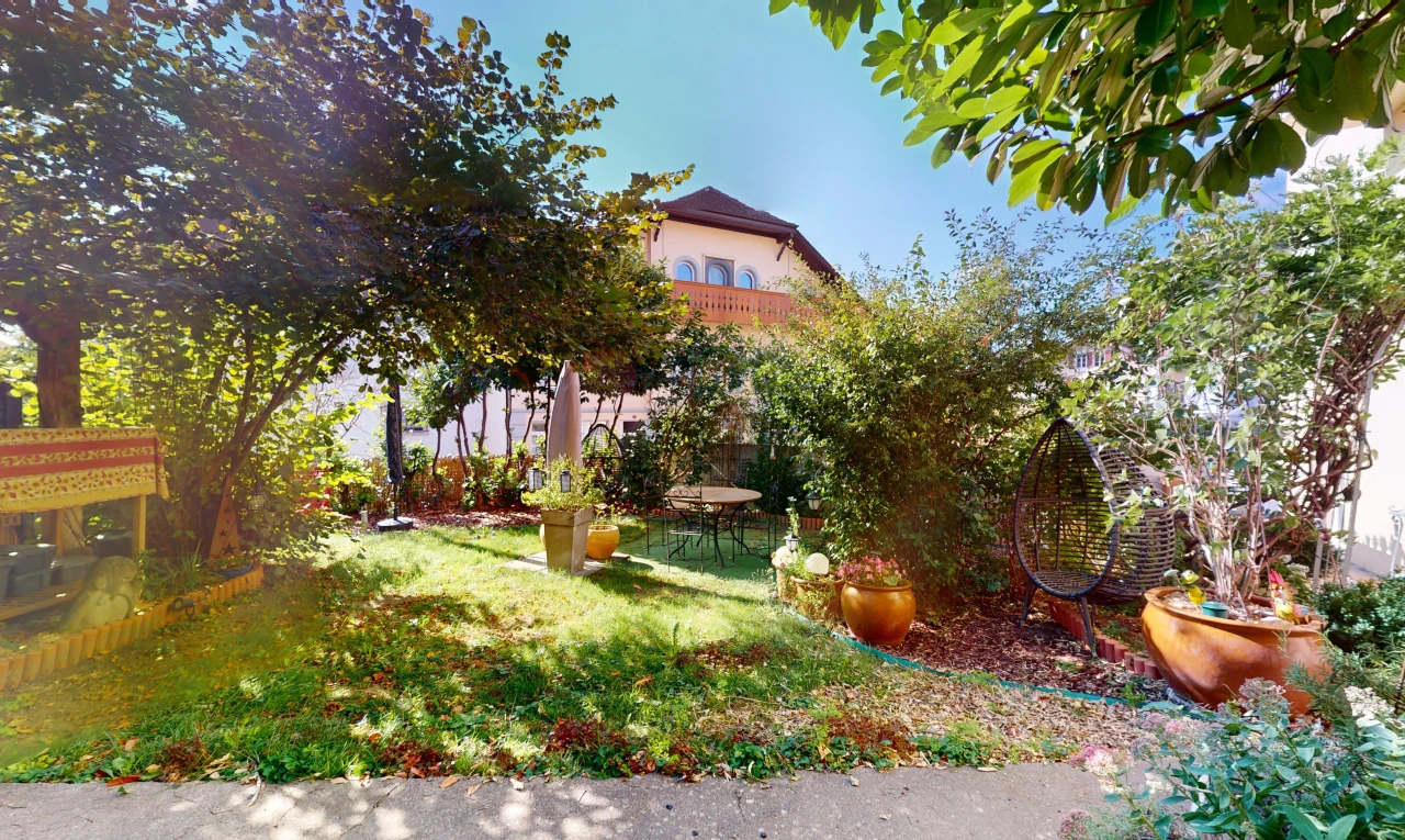 jardin avec pelouse
