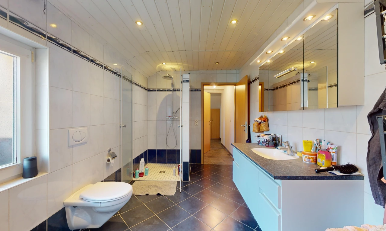 salle de bains avec toilettes, miroir, meuble-lavabo, mur carrelé, et douche