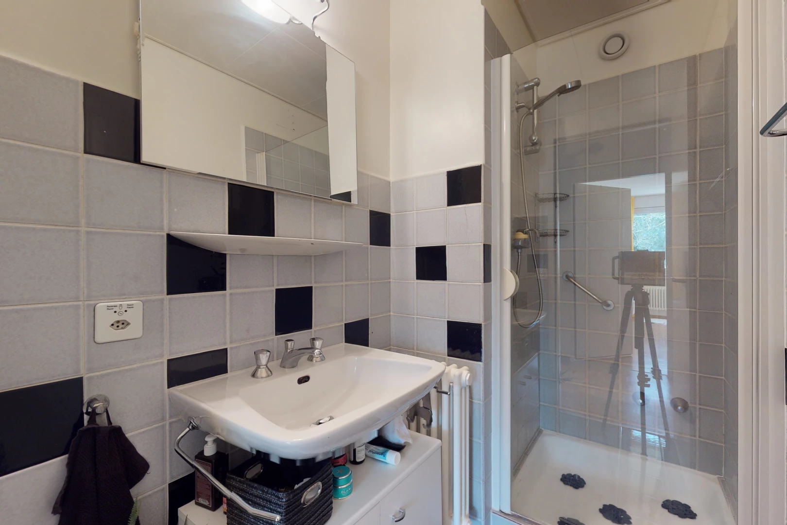 salle de bains avec miroir, porte de douche, douche, et vasque