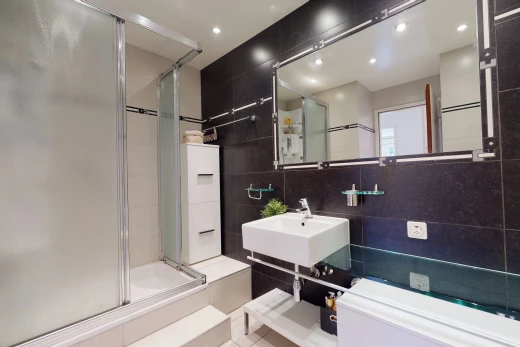salle de bains avec miroir, porte de douche, combiné baignoire-douche, et vasque