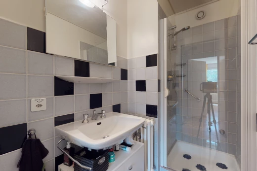 salle de bains avec miroir, porte de douche, douche, et vasque