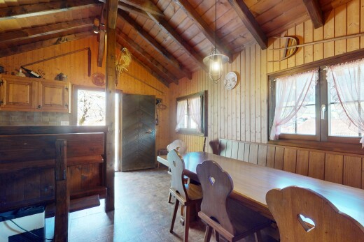 esszimmer mit holzwand, kathedralendecke, natürliches licht, und dachschräge