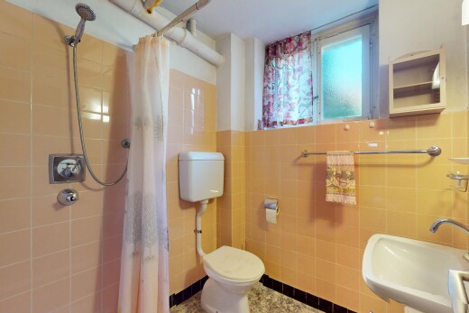 bad mit dusche, natürliches licht, waschbecken, und fliesenwand