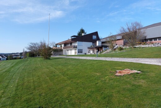 garten mit rasen und day time