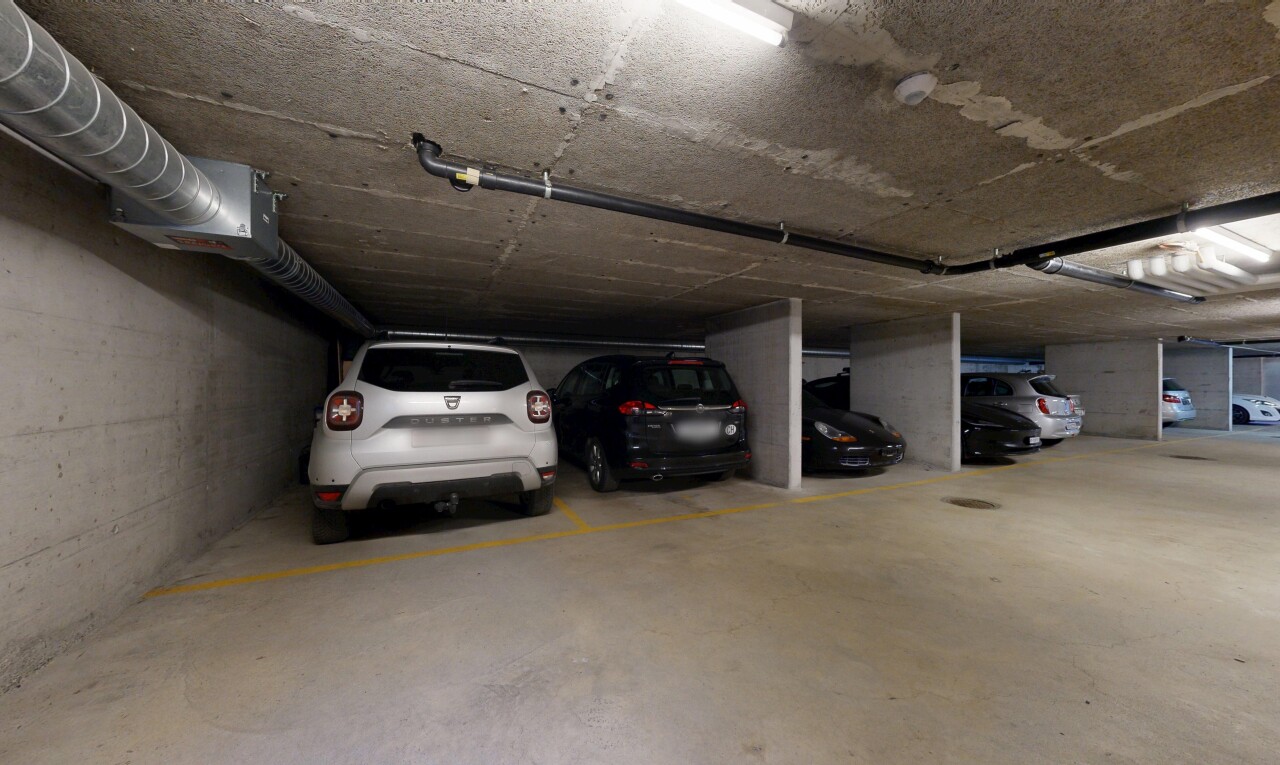 parken mit parkgarage