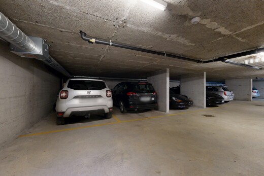 parken mit parkgarage