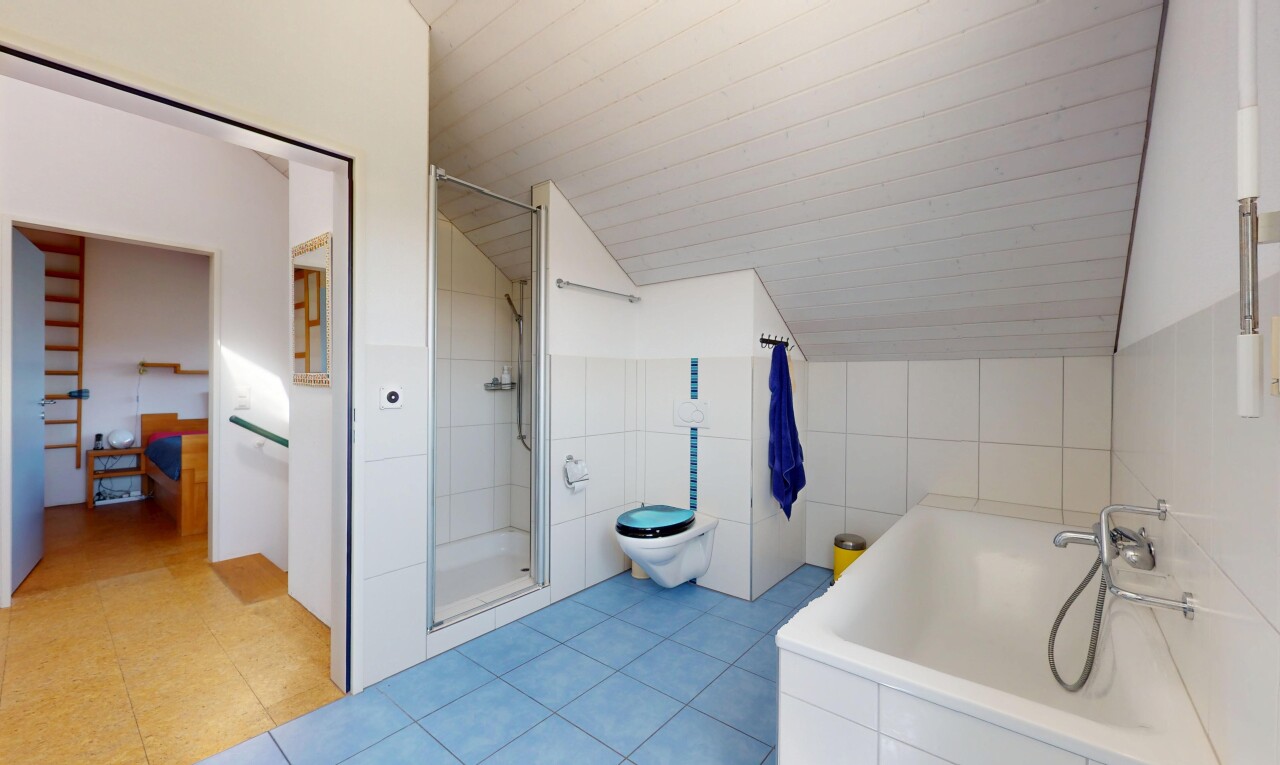 salle de bains avec plafond voûté, vaulted ceiling, salle de bain complète, toilette, et douche