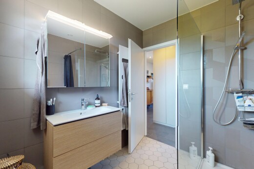 salle de bains avec douche, salle de bain complète, lavabo (ou coiffeuse selon le contexte), miroir, et inside property