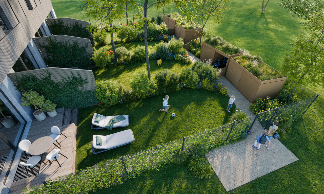 garten mit rasen, zaun, und rendered