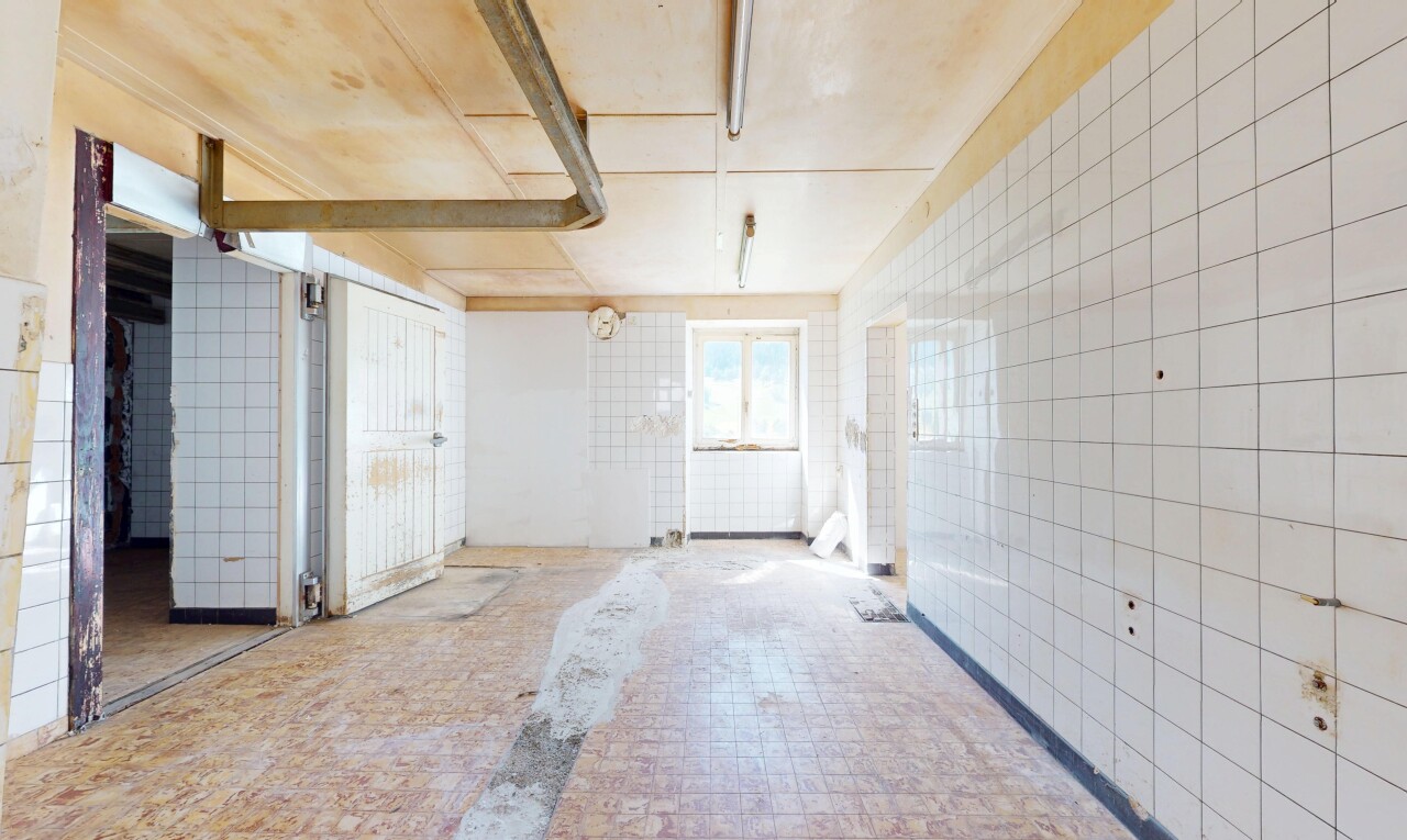 pièce vide avec mur en carrelage, tile wall, lumière naturelle, et natural light
