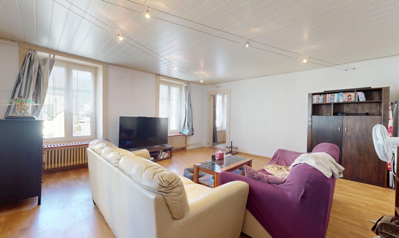 salon avec natural light, lumière naturelle, télévision, inside property, et radiateur