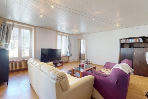 salon avec natural light, lumière naturelle, télévision, inside property, et radiateur