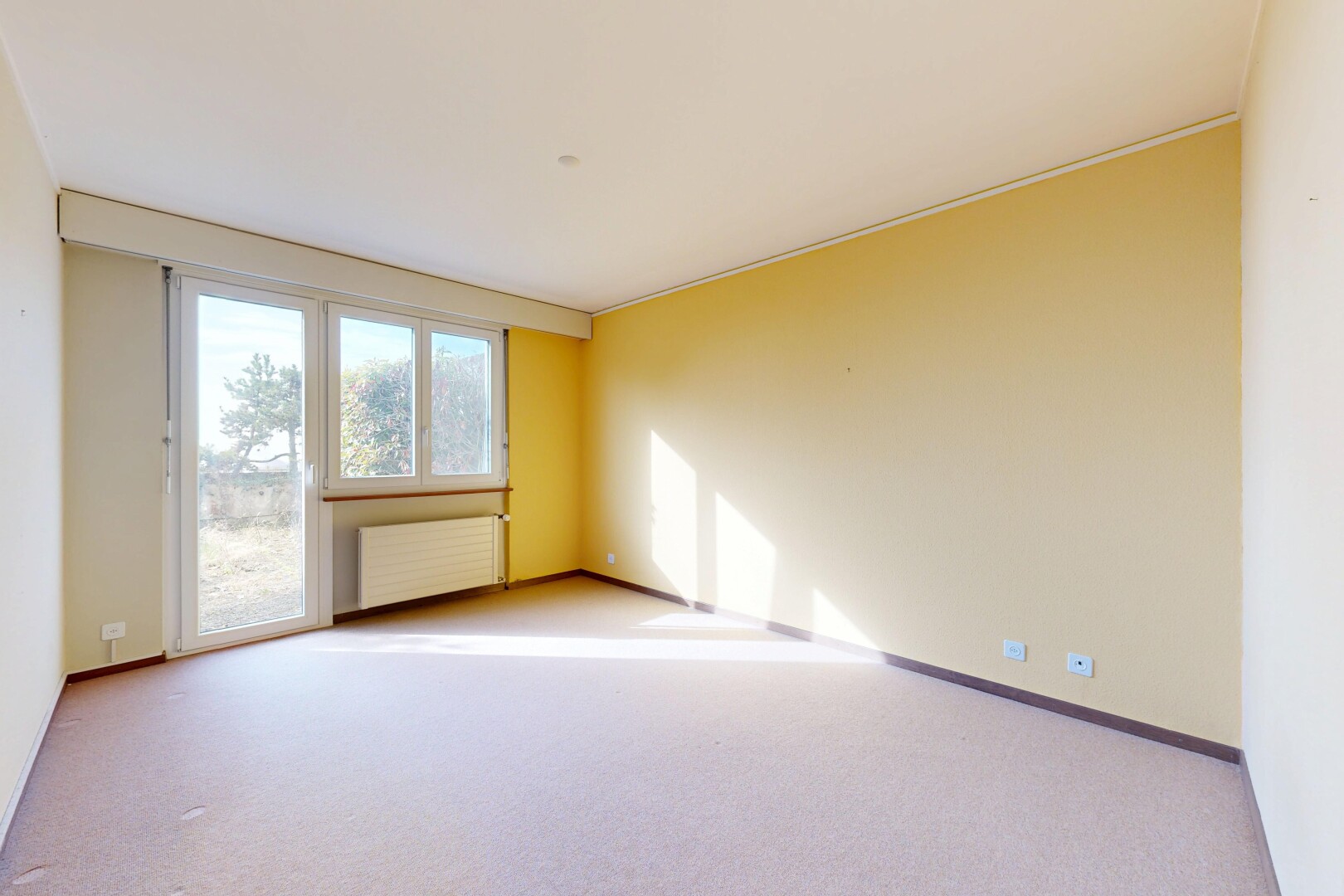 leerer raum mit gipskartonwand, drywall, kühler, teppich, und carpet