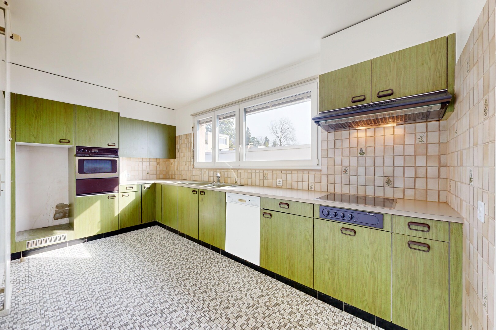küche mit küchenrückwand beim Herd, küchenrückwand beim herd, dunstabzugshaube, green cabinets, und grüne schränke
