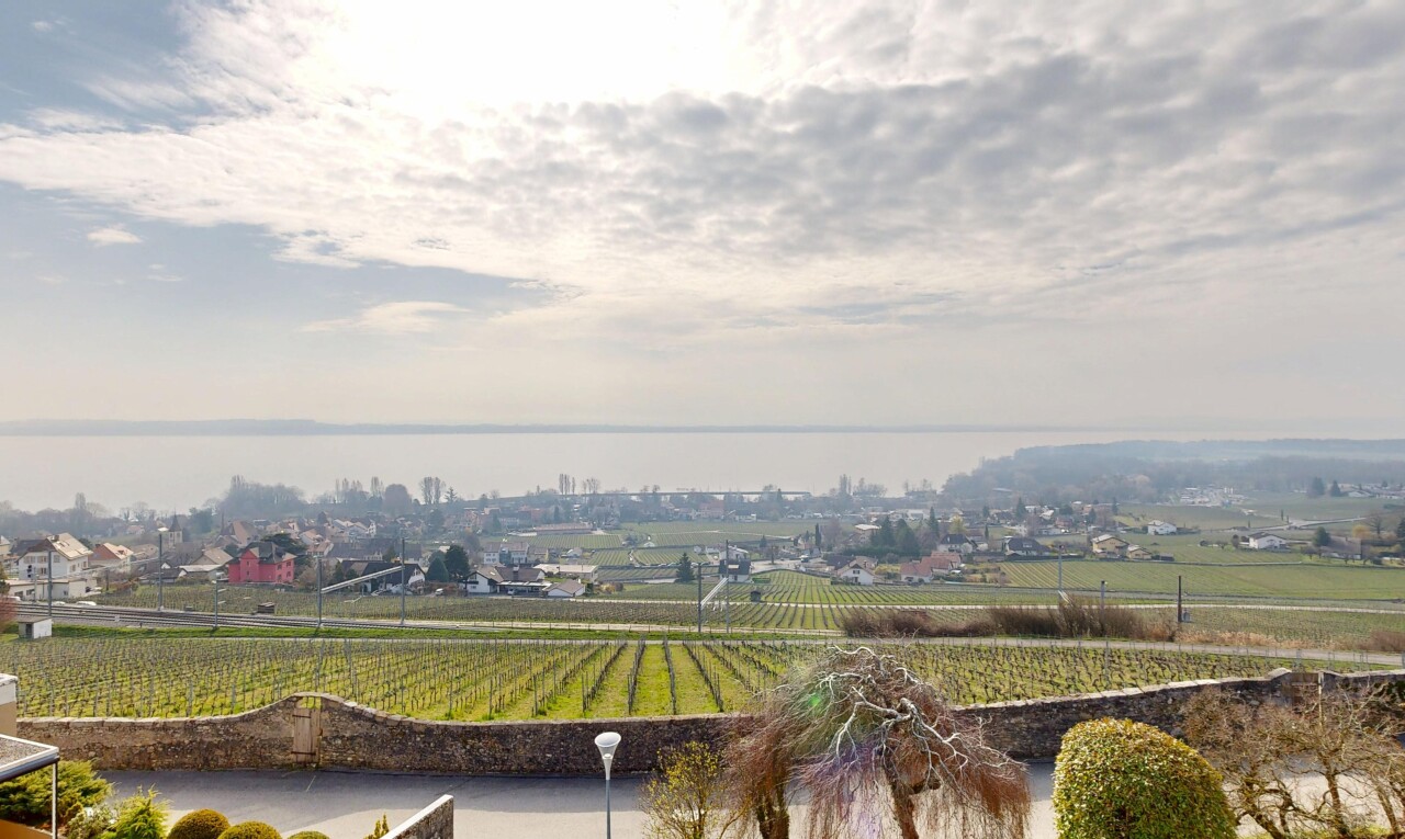äußeresraum mit blick auf obstgarten/agrarland, orchard / agricultural view, ländliche aussicht, und rural view