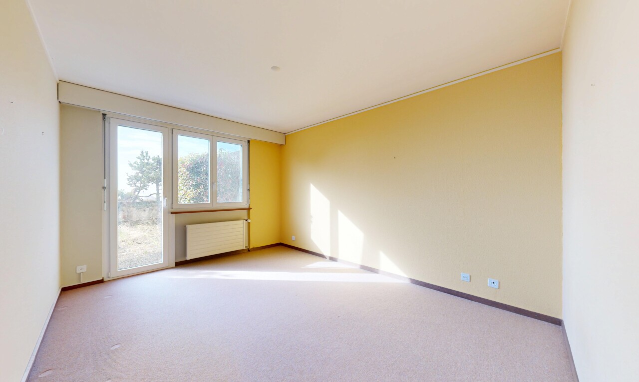 leerer raum mit gipskartonwand, drywall, kühler, teppich, und carpet