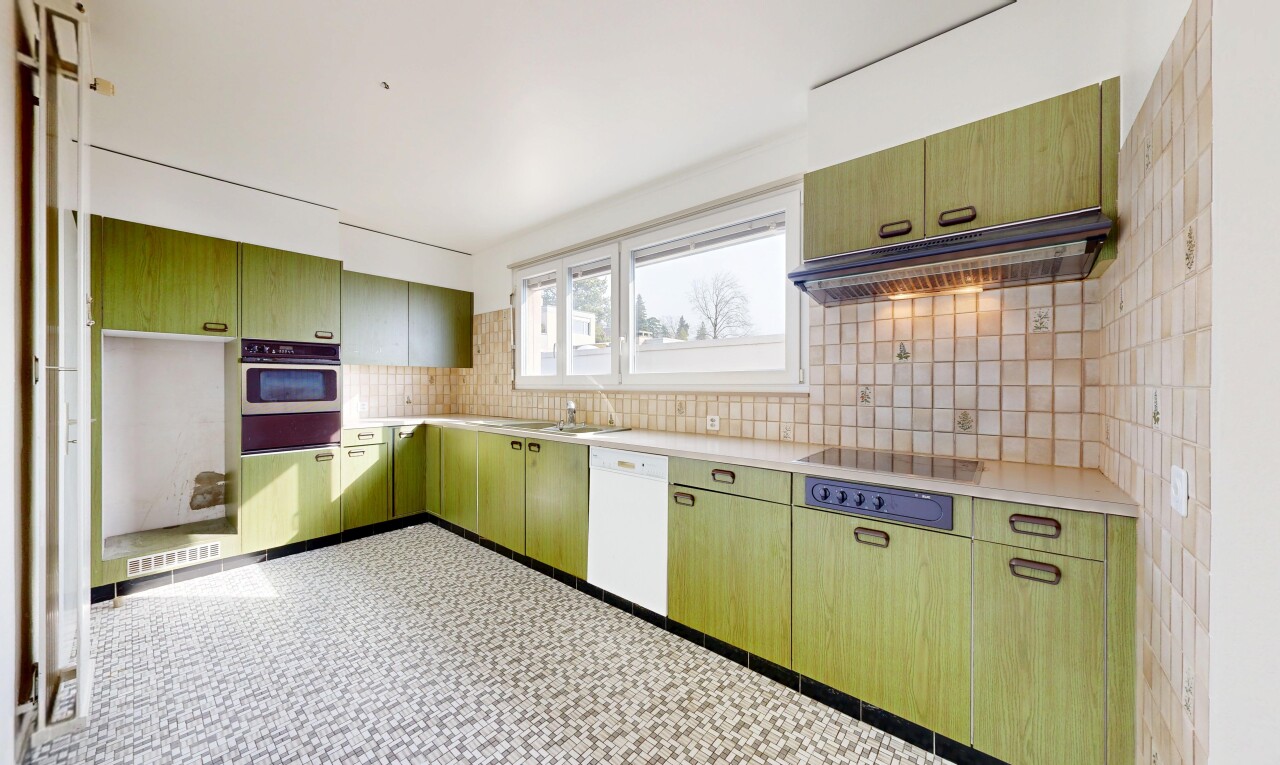 küche mit küchenrückwand beim Herd, küchenrückwand beim herd, dunstabzugshaube, green cabinets, und grüne schränke
