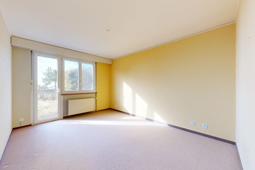 leerer raum mit gipskartonwand, drywall, kühler, teppich, und carpet