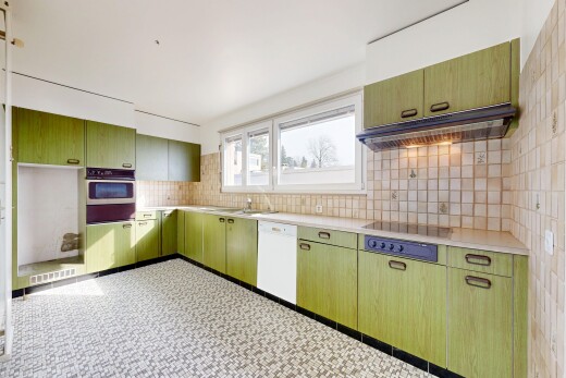küche mit küchenrückwand beim Herd, küchenrückwand beim herd, dunstabzugshaube, green cabinets, und grüne schränke