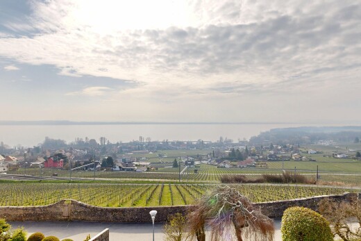 äußeresraum mit blick auf obstgarten/agrarland, orchard / agricultural view, ländliche aussicht, und rural view