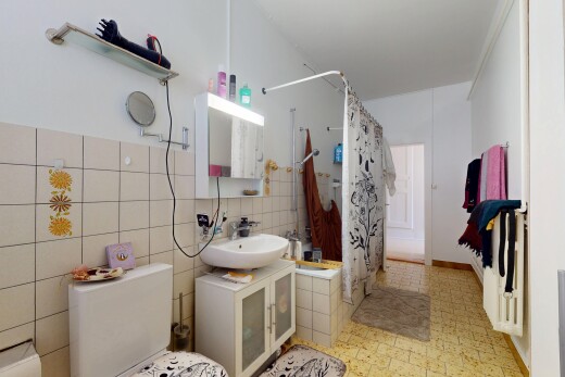 bad mit waschbecken, kombiniertes bad / dusche, komplettes badezimmer, vinylboden, und spiegel