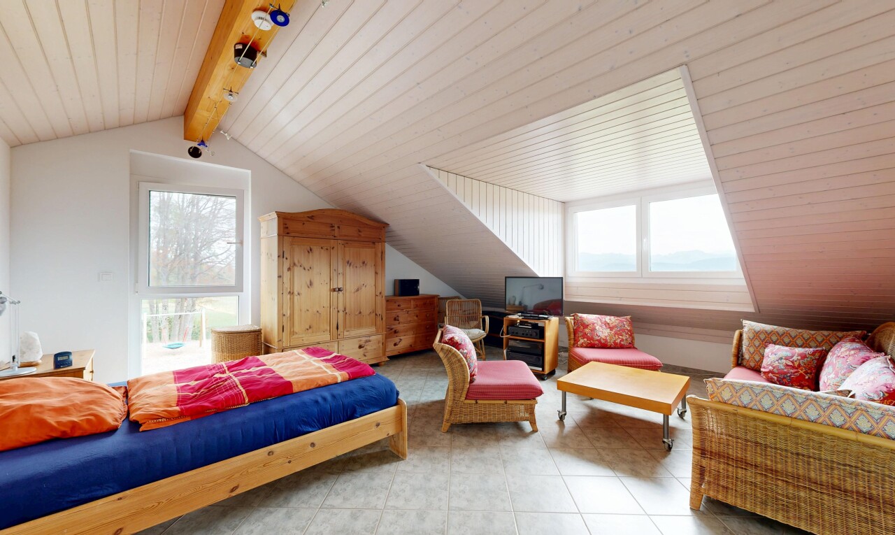 chambre avec vaulted ceiling, plafond voûté, pièce supplémentaire, high end ceiling, et télévision