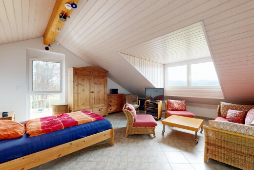 chambre avec vaulted ceiling, plafond voûté, pièce supplémentaire, high end ceiling, et télévision