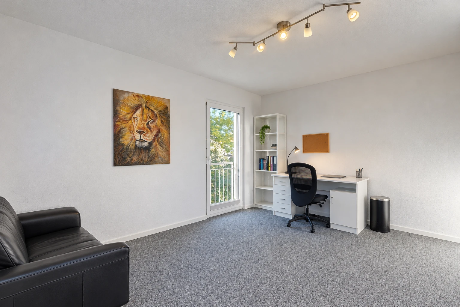 bureau avec éclairage sur rail, accès à l'extérieur, drywall, cloison sèche, et carpet