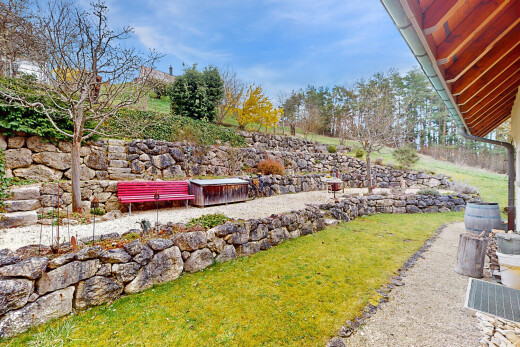 garten mit rasen