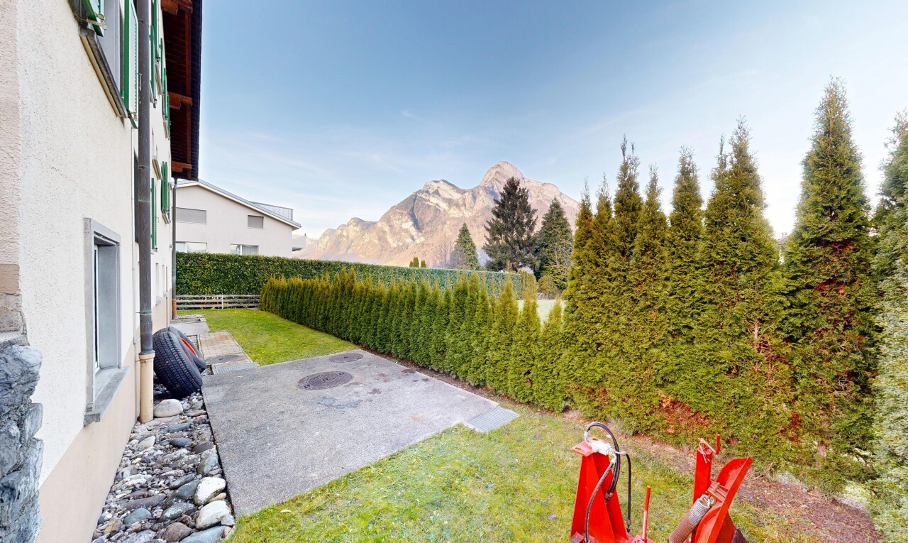 garden featuring a mountain view, a patio, and a yard