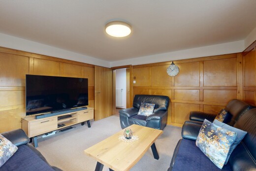 wohnzimmer mit wandvertäfelung, paneling wall, fernseher, teppich, und carpet