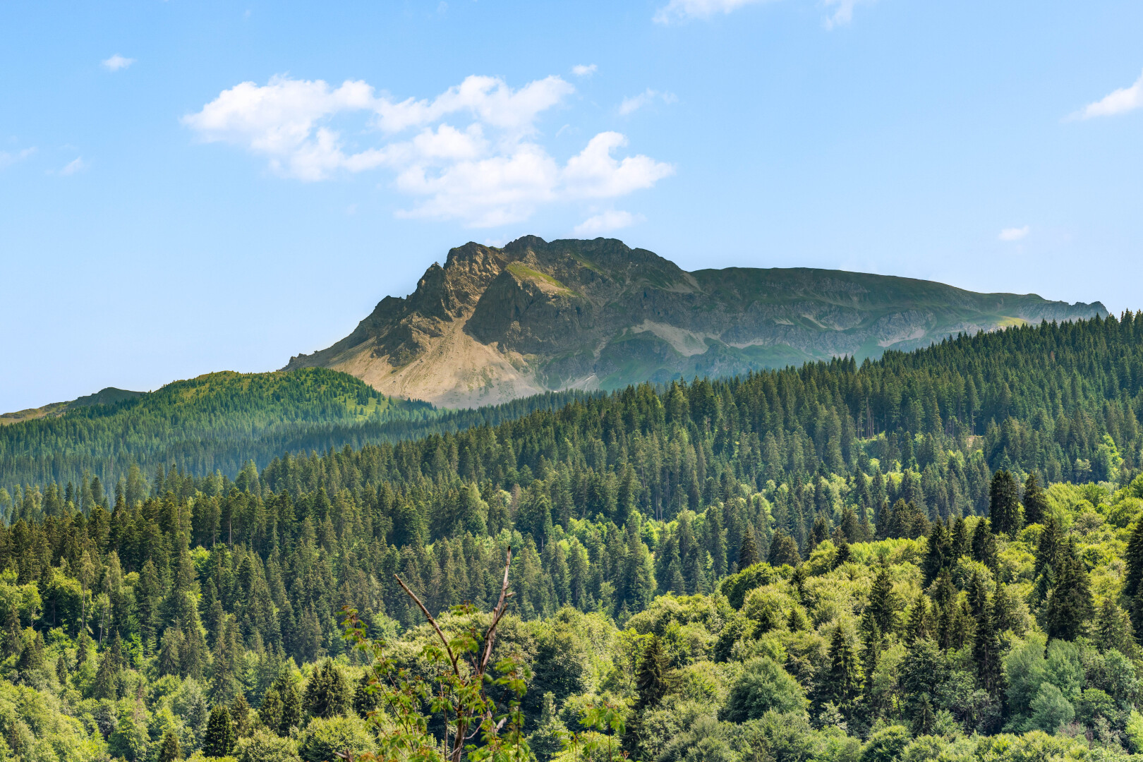 blick auf die berge mit mountain view, blick auf die berge, forest view, waldblick, und day time