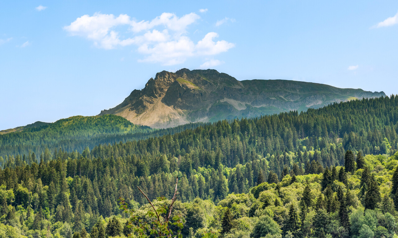 blick auf die berge mit mountain view, blick auf die berge, forest view, waldblick, und day time
