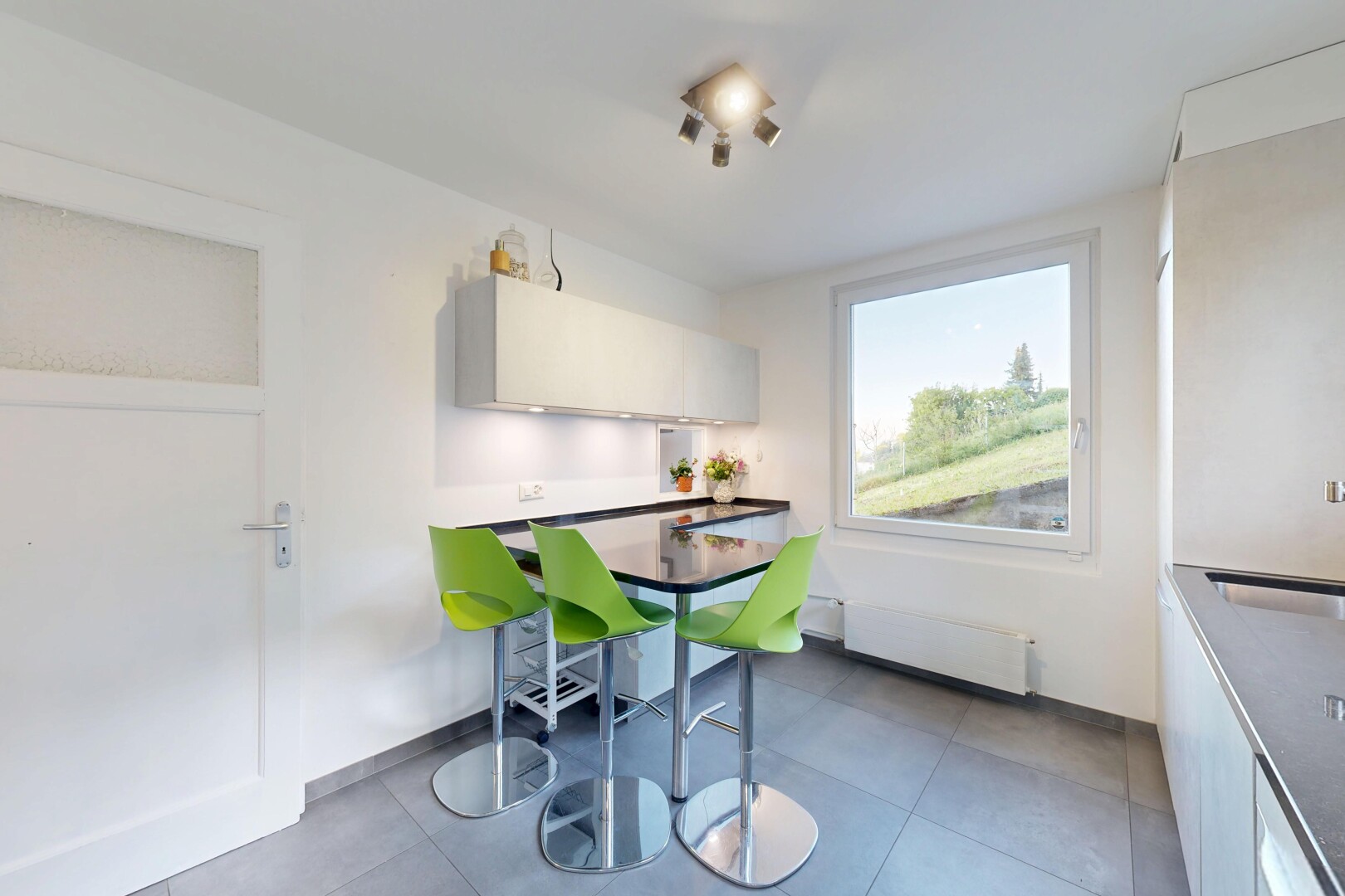 küche mit inside property, drywall, gipskartonwand, kühler, und dark countertops