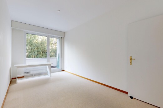 leerer raum mit teppich, carpet, natürliches licht, natural light, und inside property