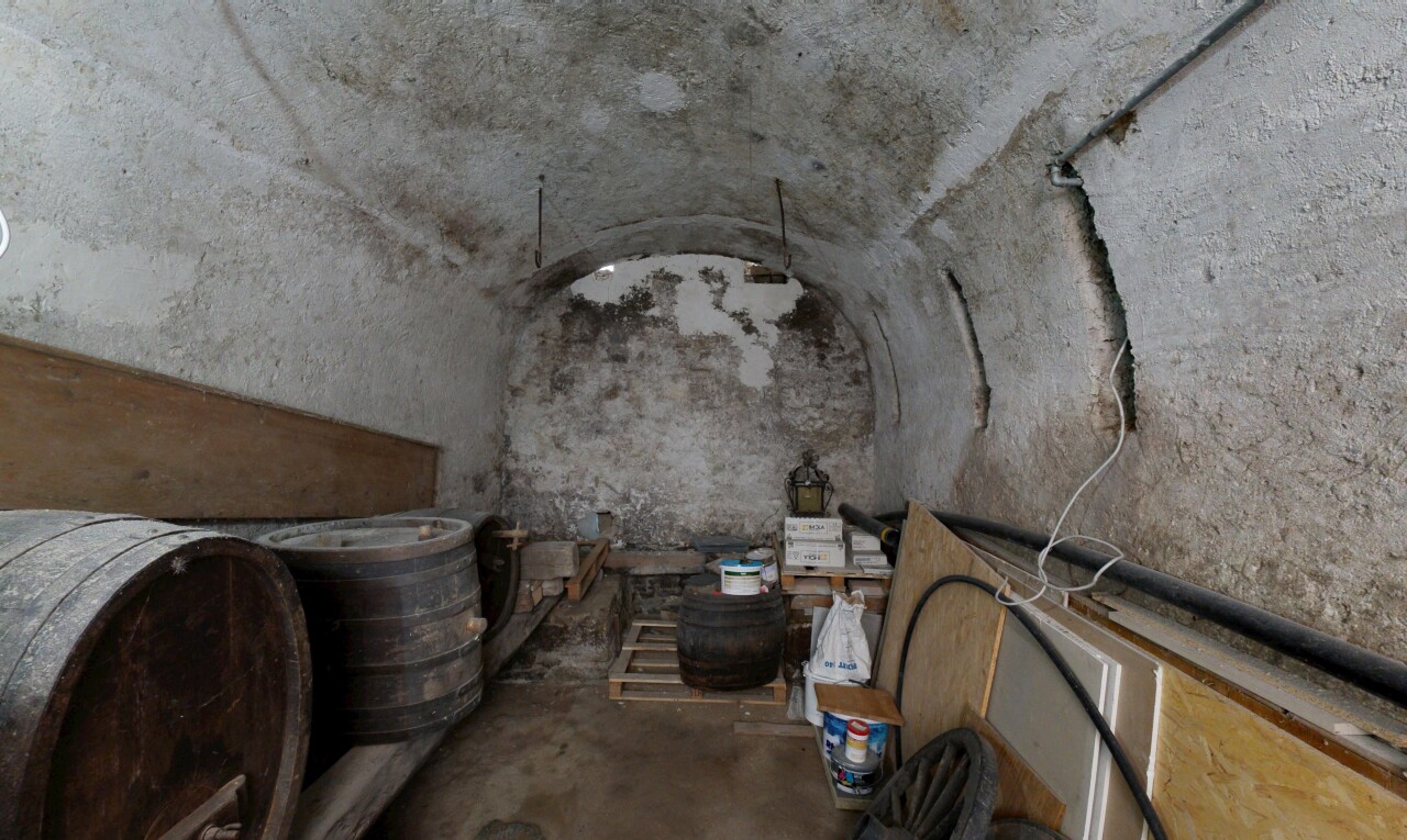cave avec sol en béton, concrete floor, plafond voûté, et vaulted ceiling