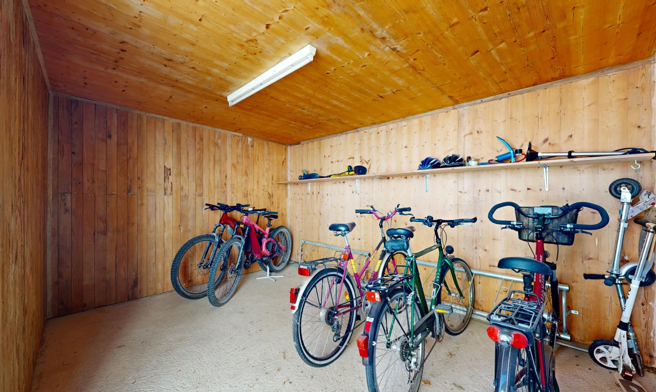 fitnessstudio mit wood wall, holzwand, dated wood wall, holzdecke, und inside property