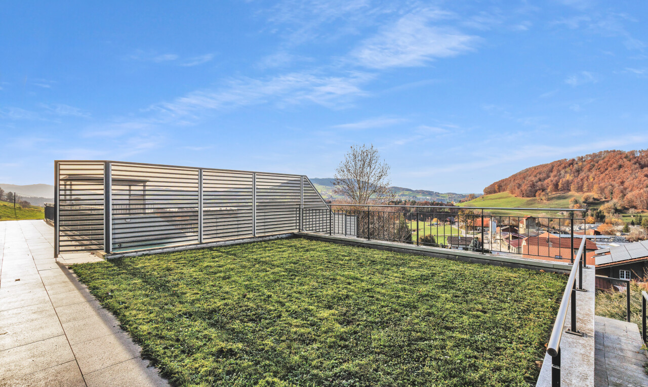jardin avec vue sur la montagne, mountain view, day time, et pelouse
