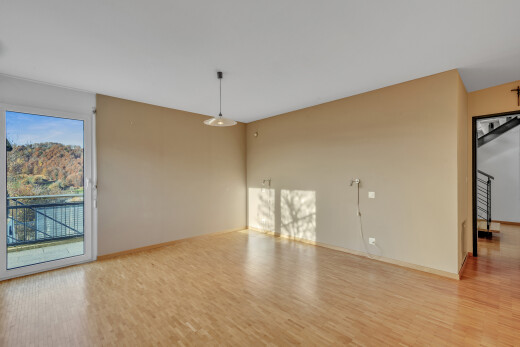 leerer raum mit inside property, drywall, gipskartonwand, wood finish floor, und holzfußboden