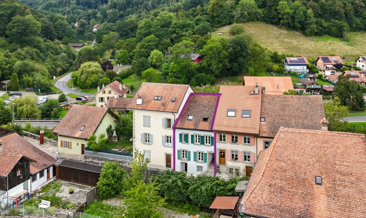 :property_type  à vendre à Vaud Moudon