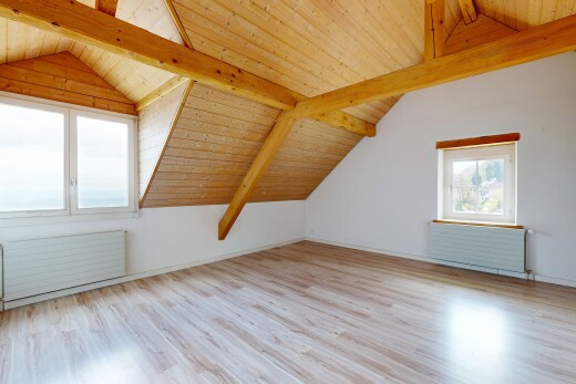 leerer raum mit cathedral ceiling, kathedralendecke, vaulted ceiling, dachschräge, und wood ceiling