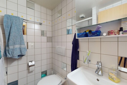 salle de bains avec toilette, évier, miroir, et mur en carrelage