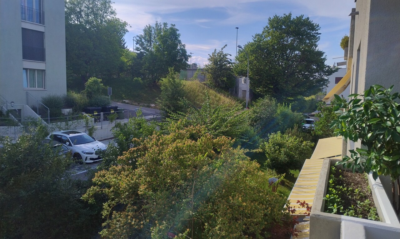 garten mit from property, view focus, und day time