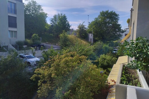 garten mit from property, view focus, und day time